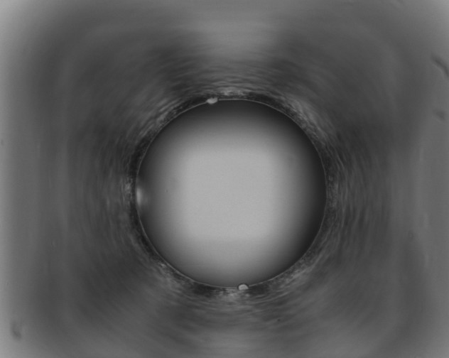 X0000091980321200709061157