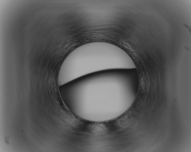 X0000091980322200709061157