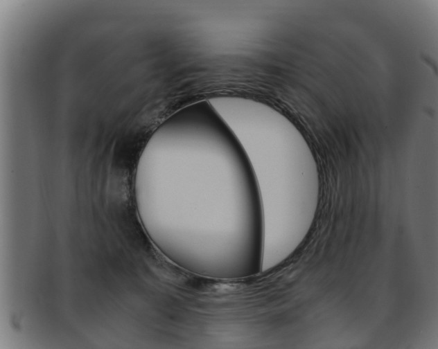 X0000091980323200709061157