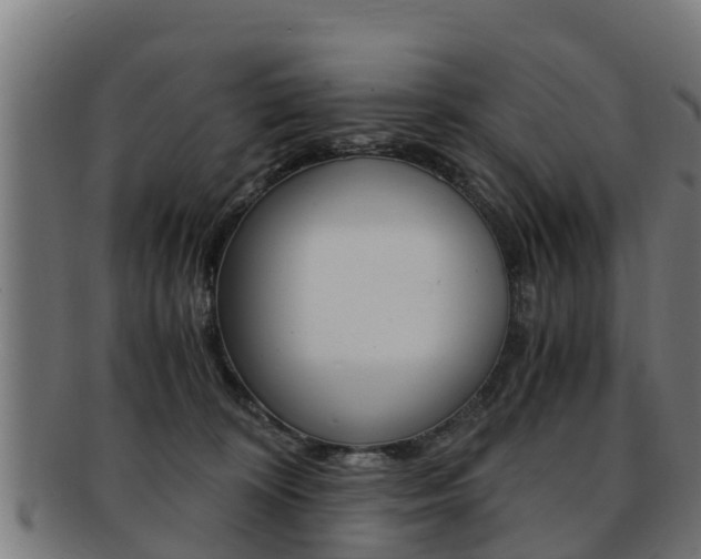 X0000091980324200709061157