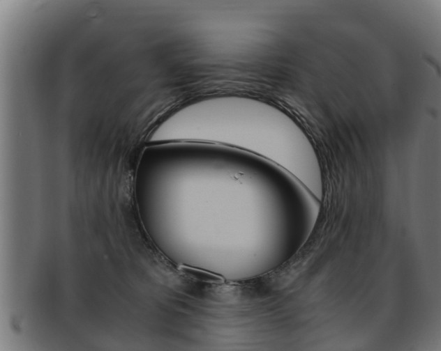 X0000091980325200709061157