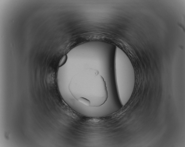X0000091980326200709061157