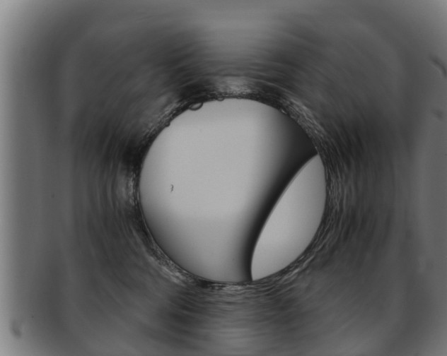 X0000091980330200709061157