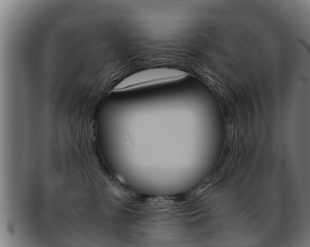 X0000091980331200709061157