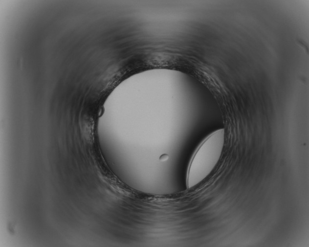 X0000091980332200709061157