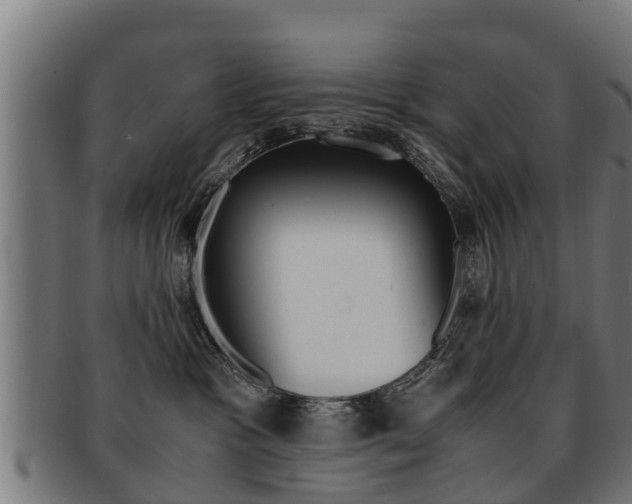 X0000091980333200709061157