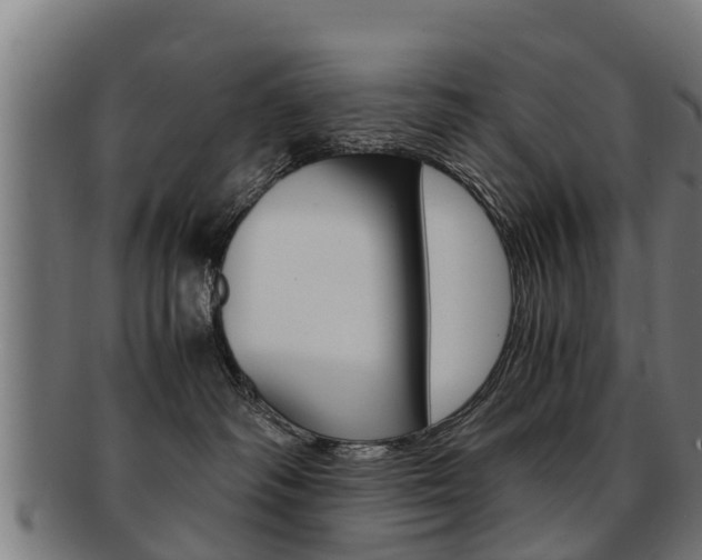X0000091980334200709061157