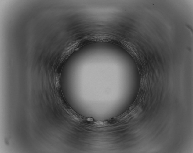 X0000091980335200709061157
