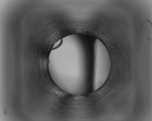 X0000091980336200709061157
