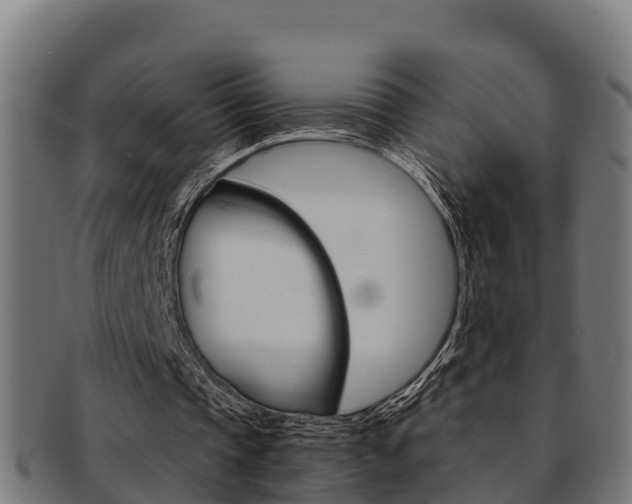 X0000091980337200709061157
