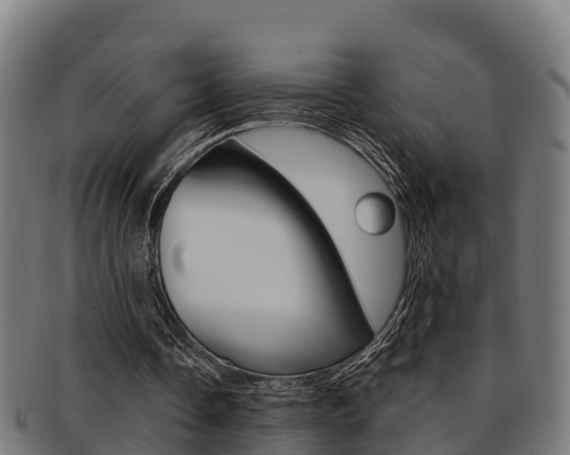 X0000091980338200709061157