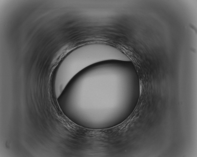 X0000091980339200709061157