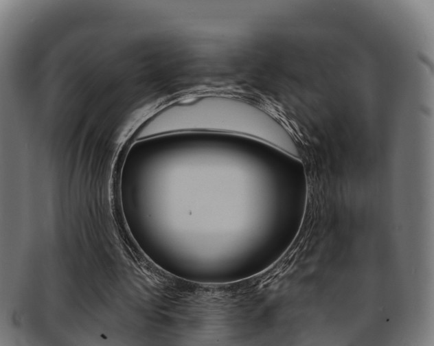 X0000091980340200709061157