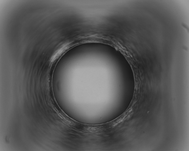 X0000091980341200709061157