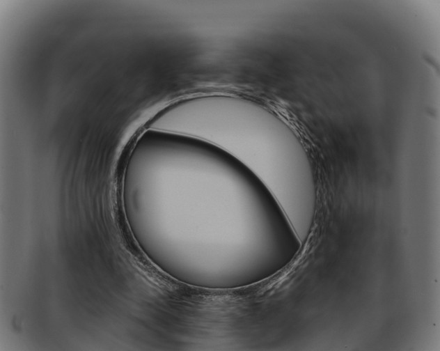 X0000091980342200709061157