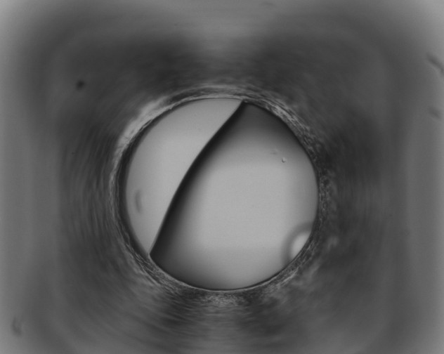 X0000091980343200709061157