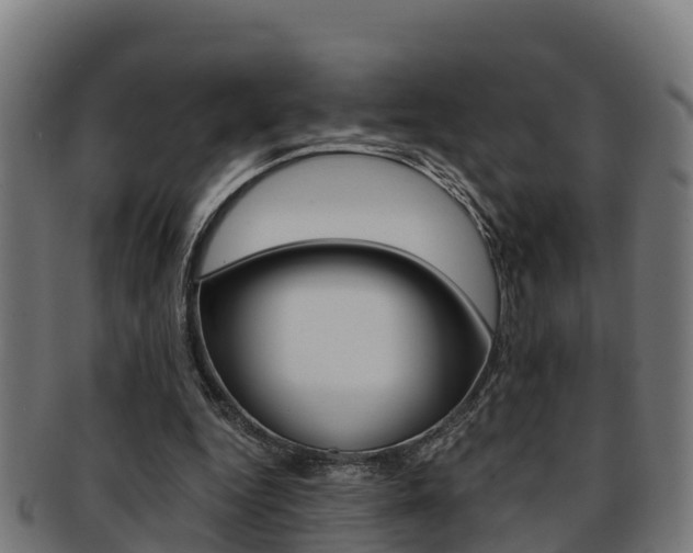 X0000091980344200709061157