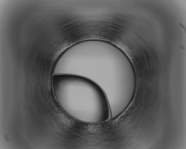 X0000091980345200709061157