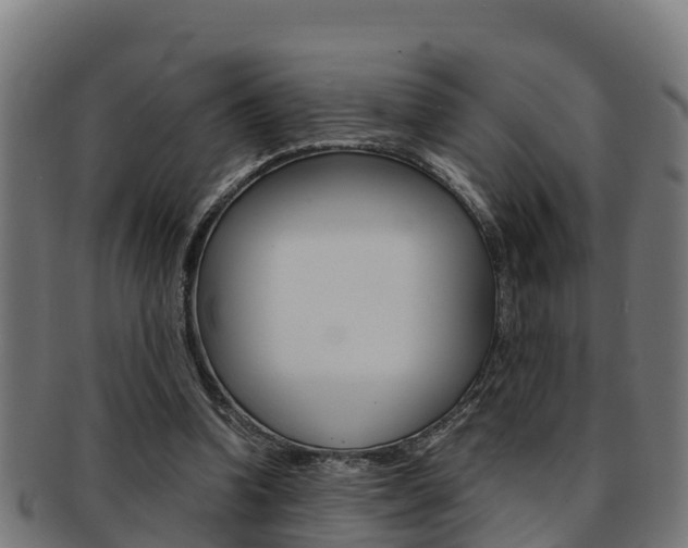 X0000091980346200709061157