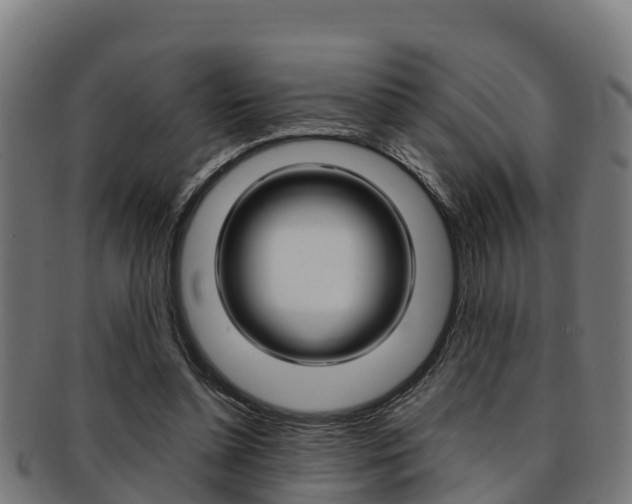 X0000091980348200709061157