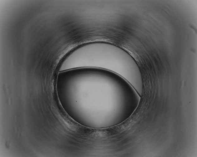 X0000091980350200709061157