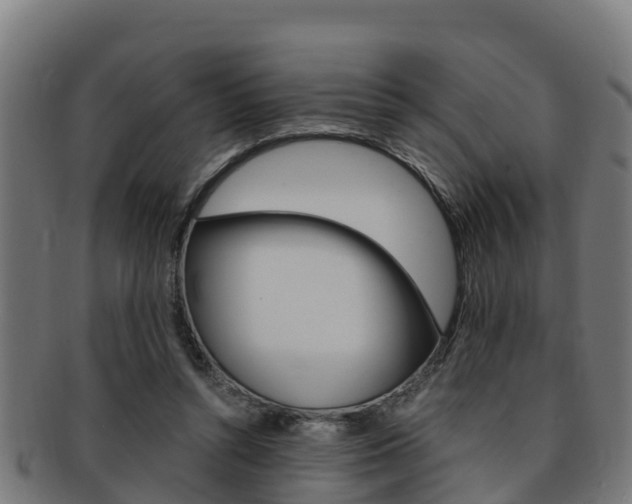 X0000091980352200709061157