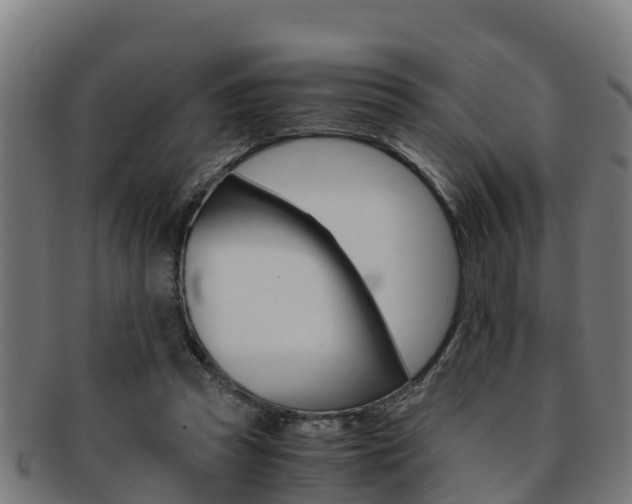 X0000091980353200709061157