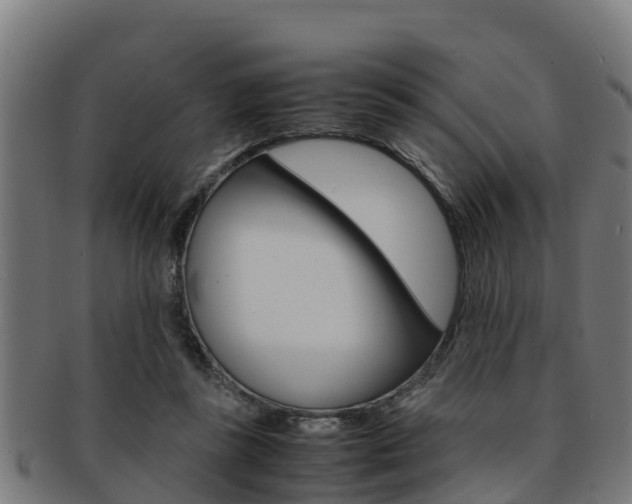 X0000091980355200709061157