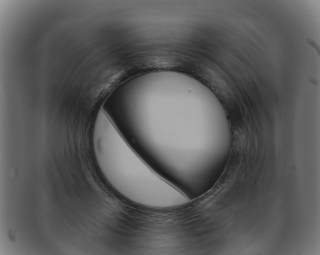 X0000091980358200709061157