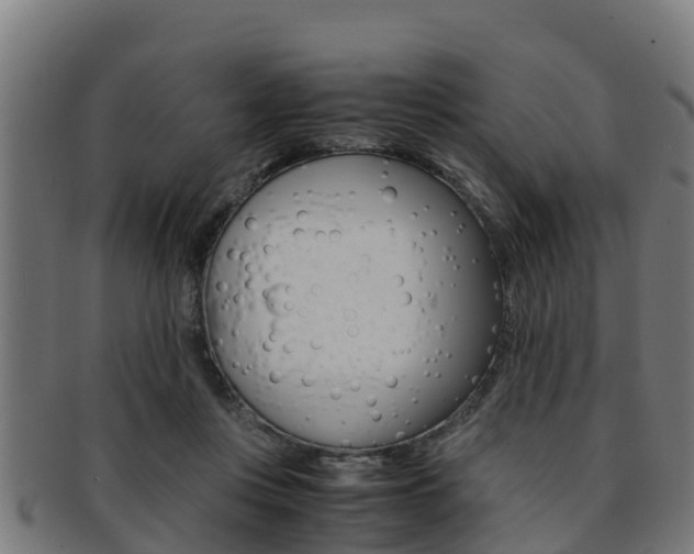 X0000091980359200709061157