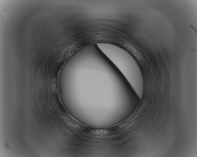 X0000091980361200709061157