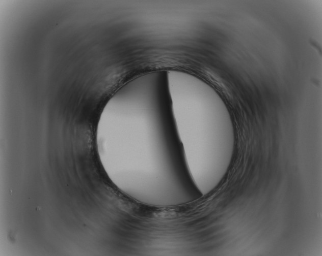 X0000091980362200709061157