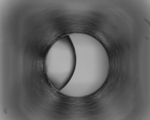 X0000091980363200709061157
