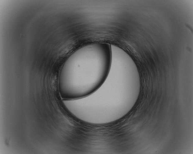 X0000091980364200709061157