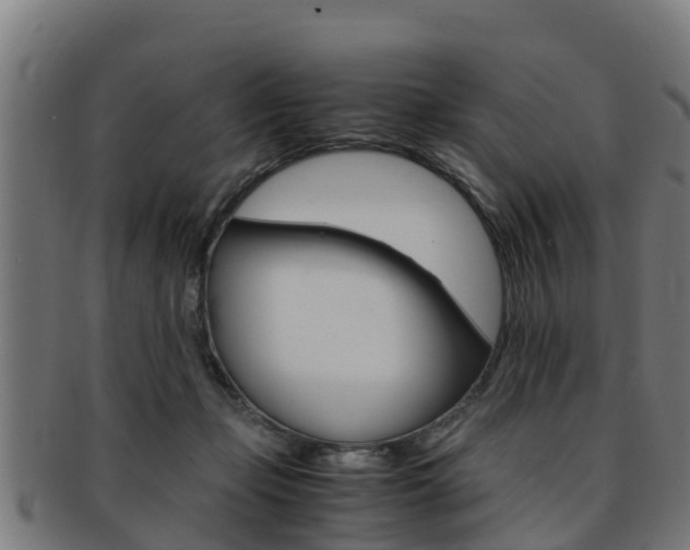 X0000091980365200709061157
