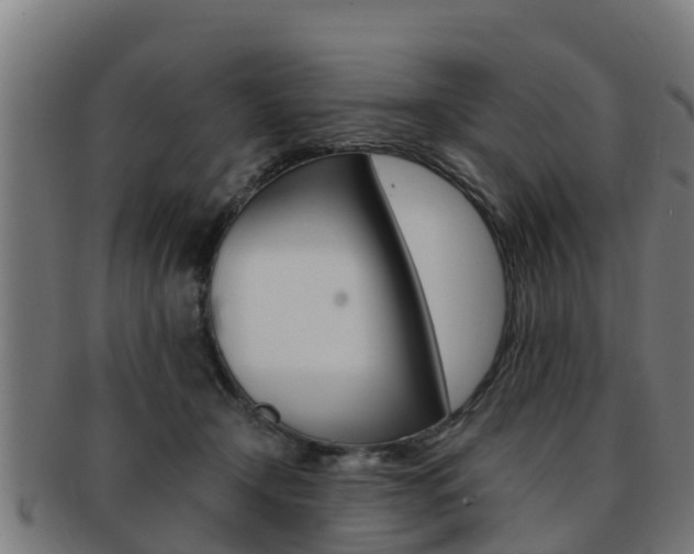 X0000091980366200709061157