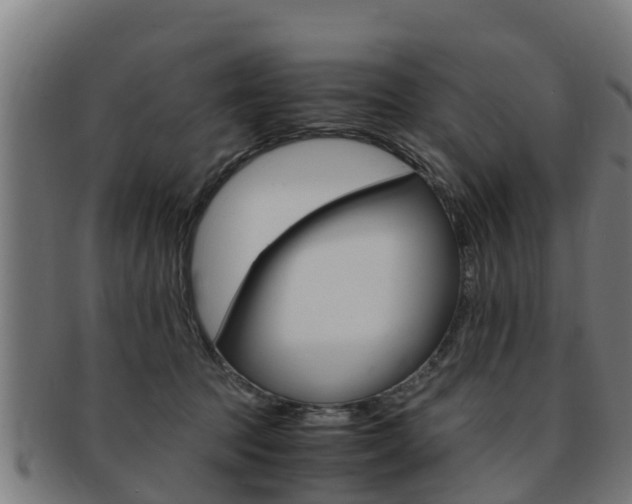 X0000091980369200709061157