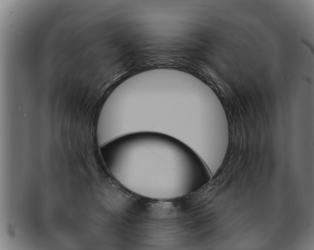 X0000091980374200709061157