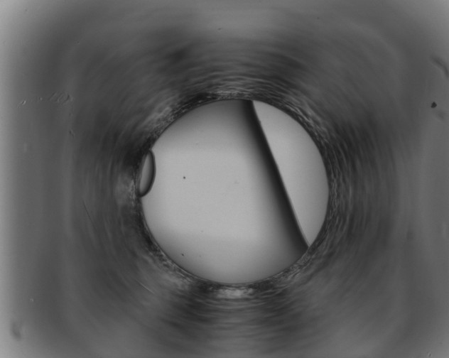 X0000091980375200709061157