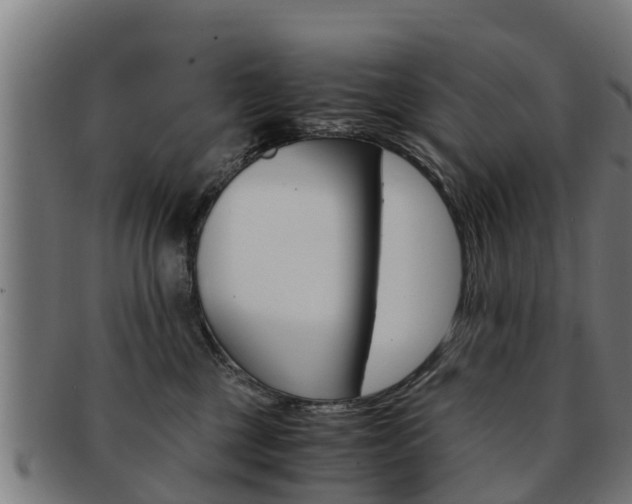X0000091980377200709061157