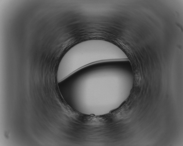 X0000091980379200709061157