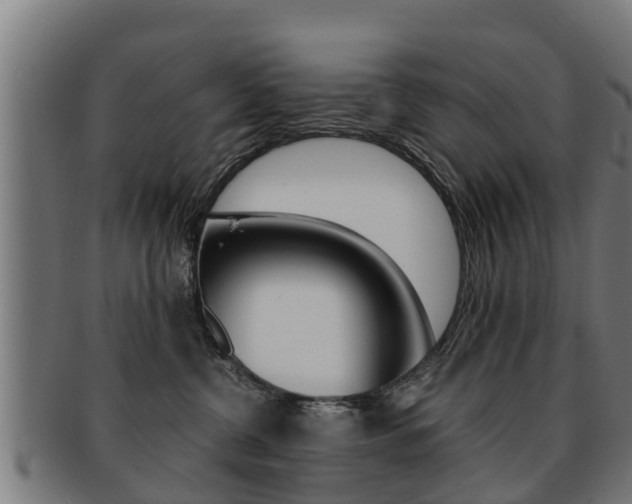X0000091980380200709061157