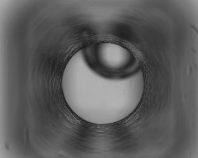 X0000091980384200709061157