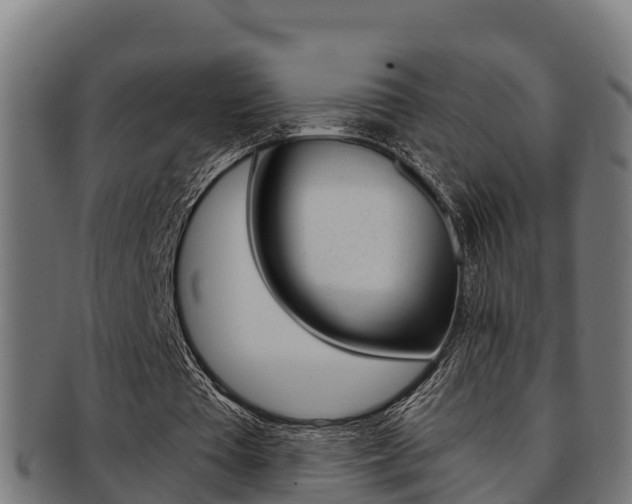 X0000091980385200709061157