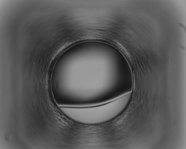 X0000091980387200709061156