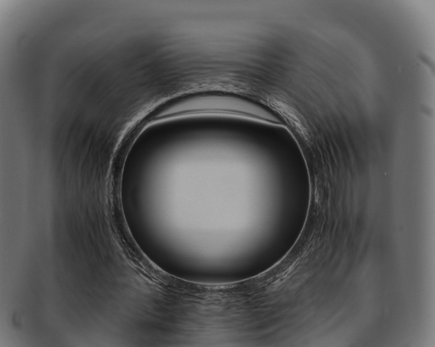 X0000091980388200709061156