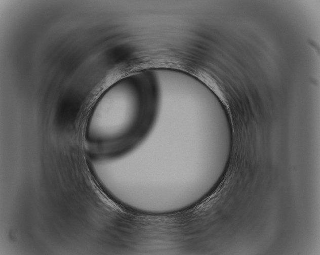 X0000091980389200709061156