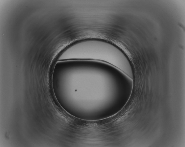 X0000091980391200709061156