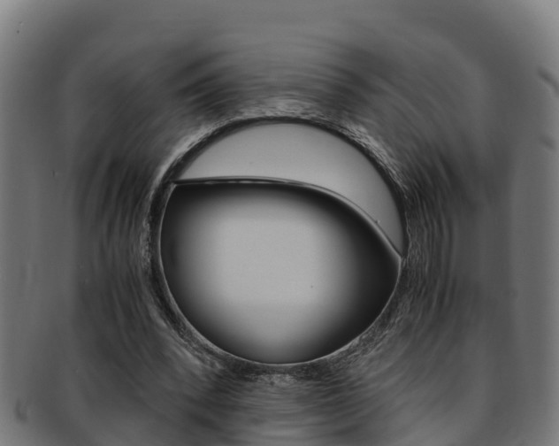X0000091980392200709061156