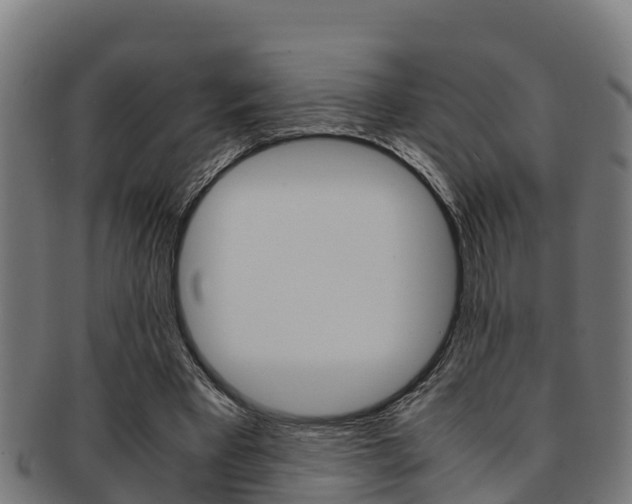 X0000091980393200709061156